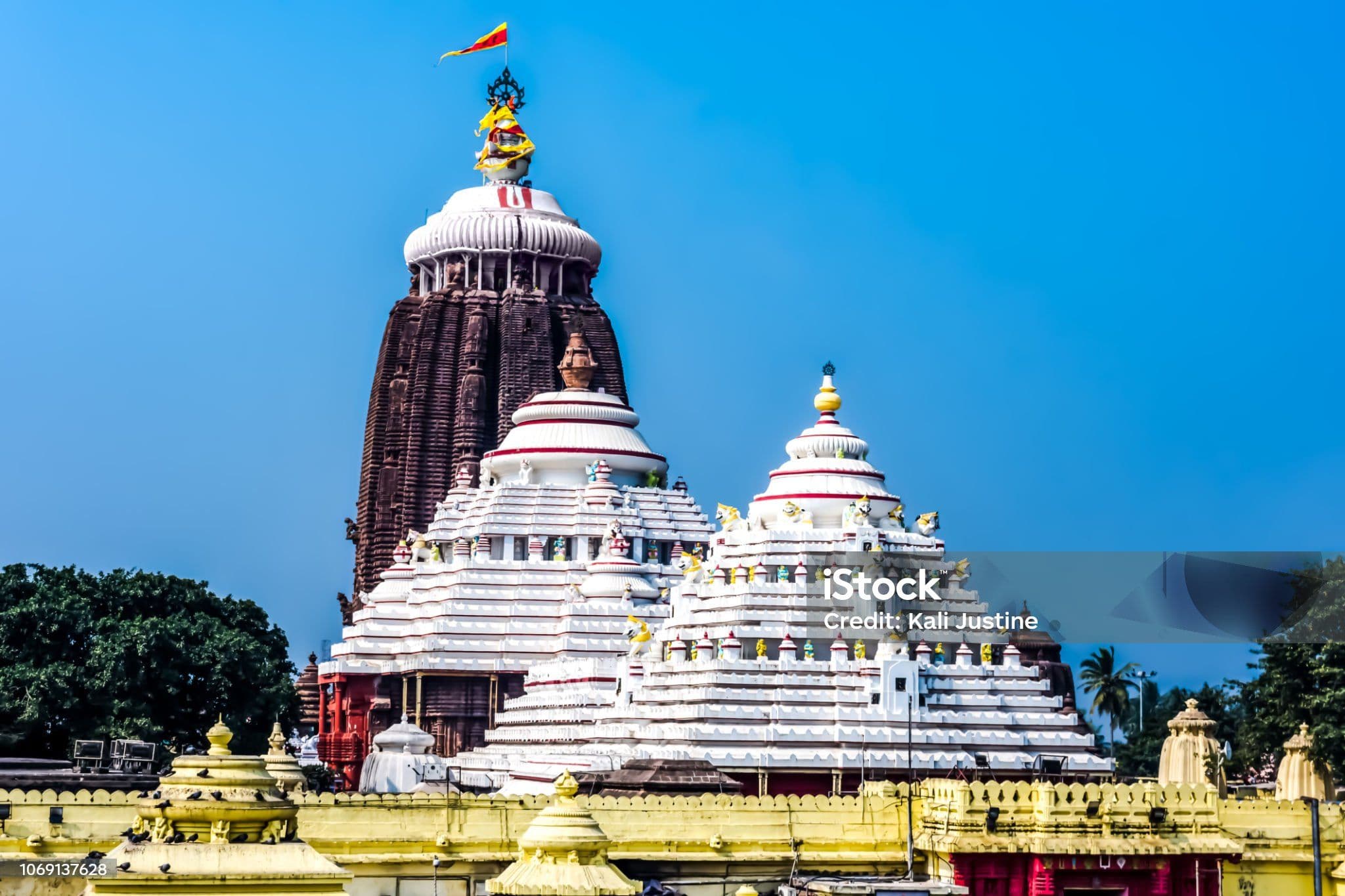 Puri Jagannath Ratha Yatra Tour